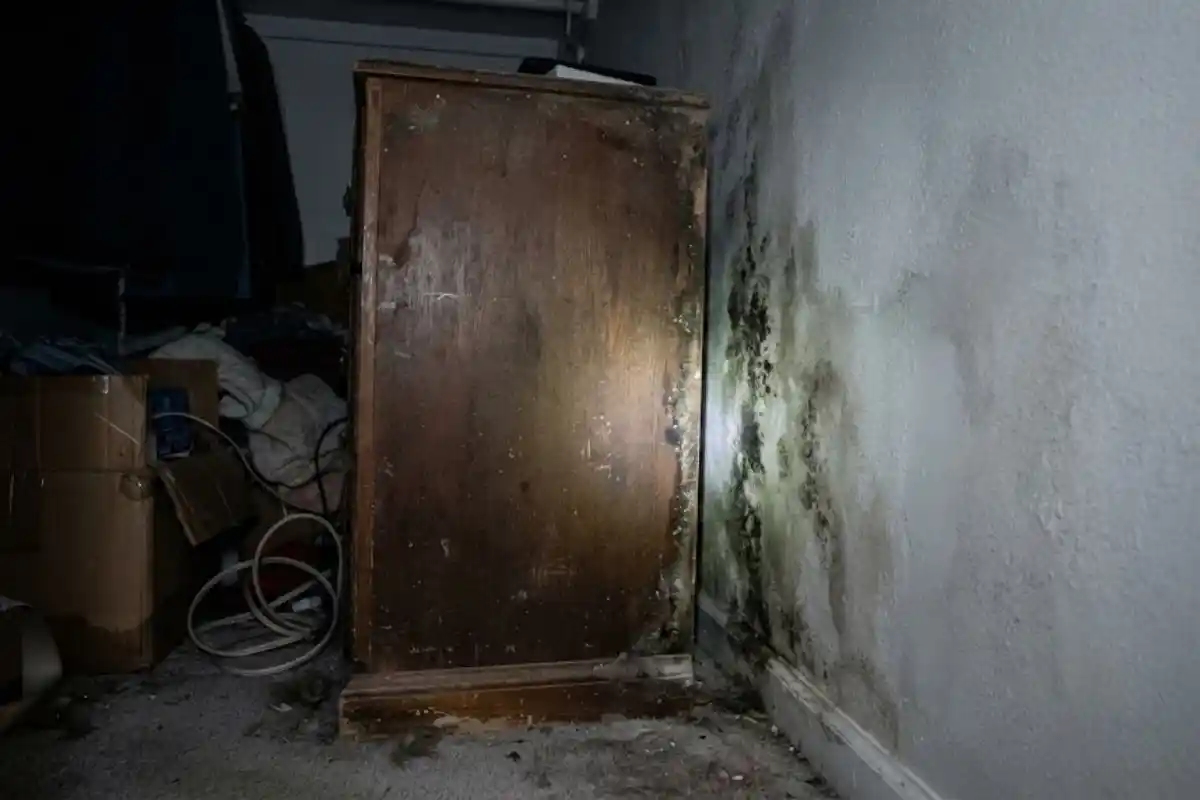 Closet interior where hidden mold commonly grows
