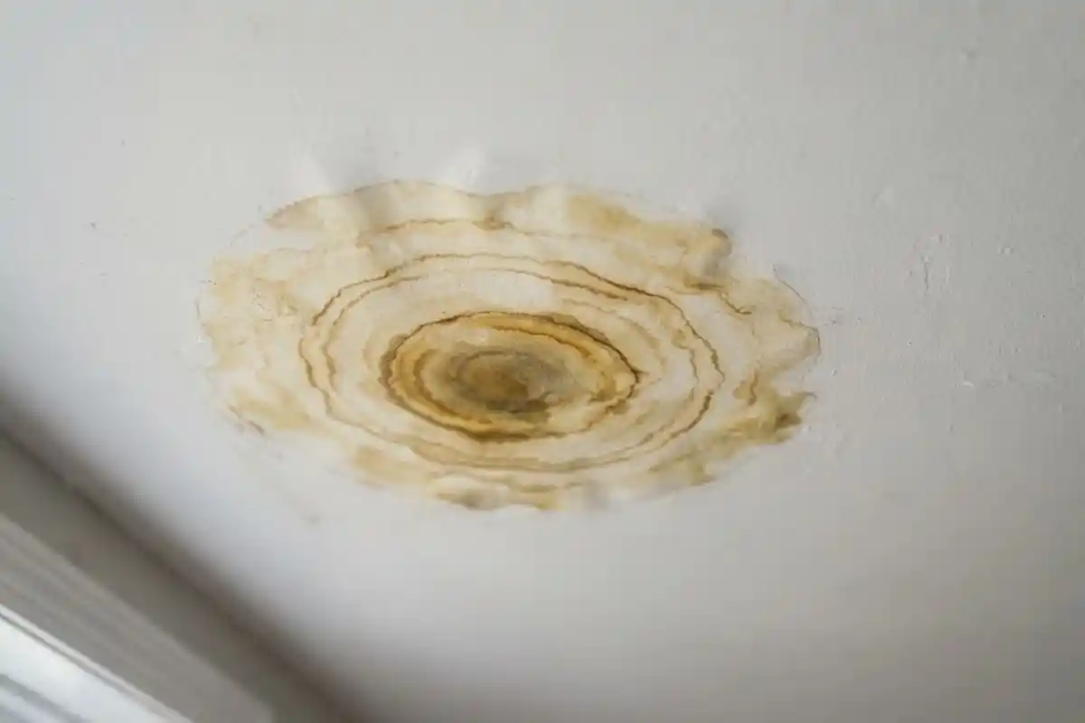 Ceiling water stain with ring pattern
