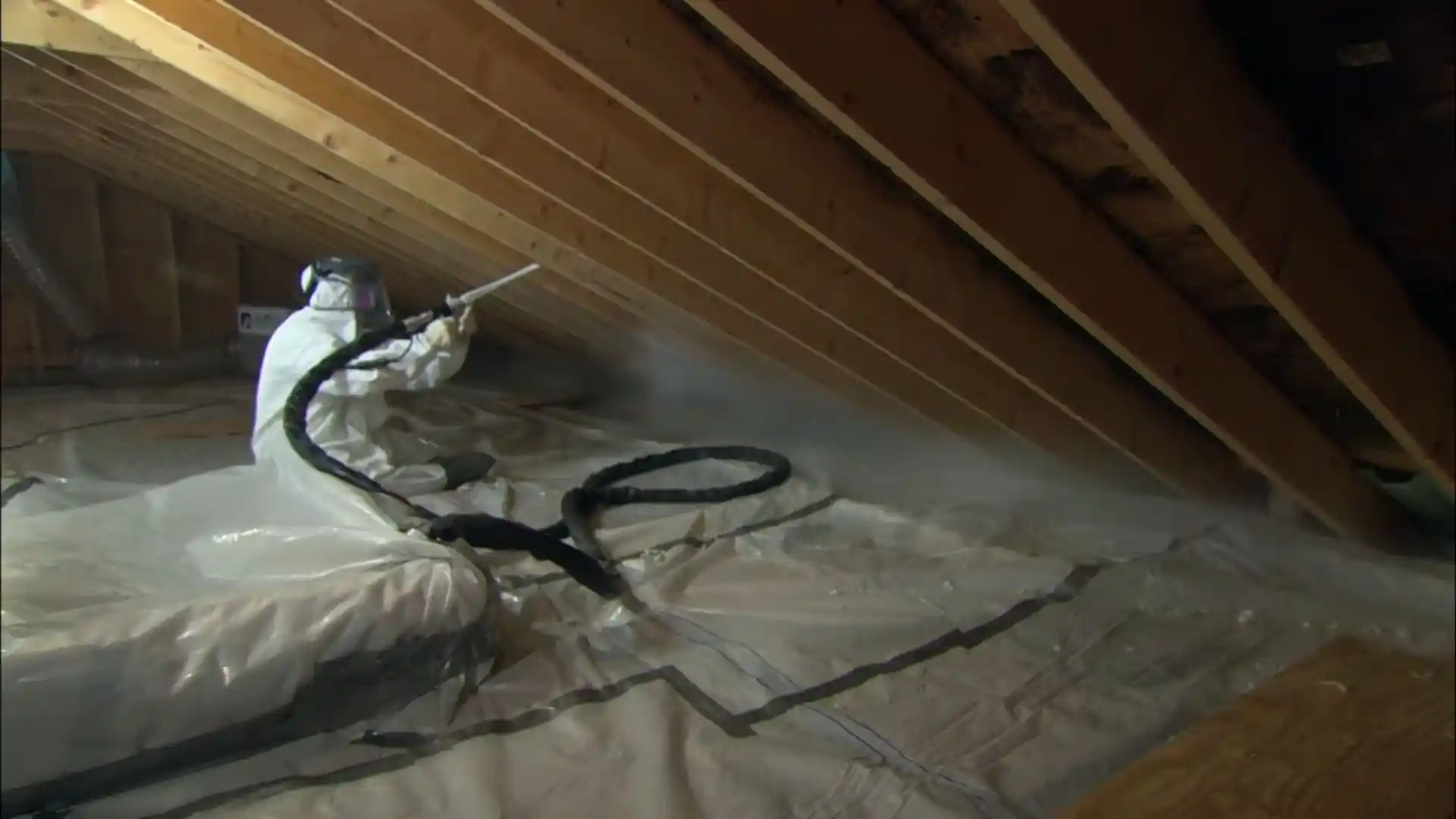 Attic mold growth on roof sheathing in Montgomery Village, MD