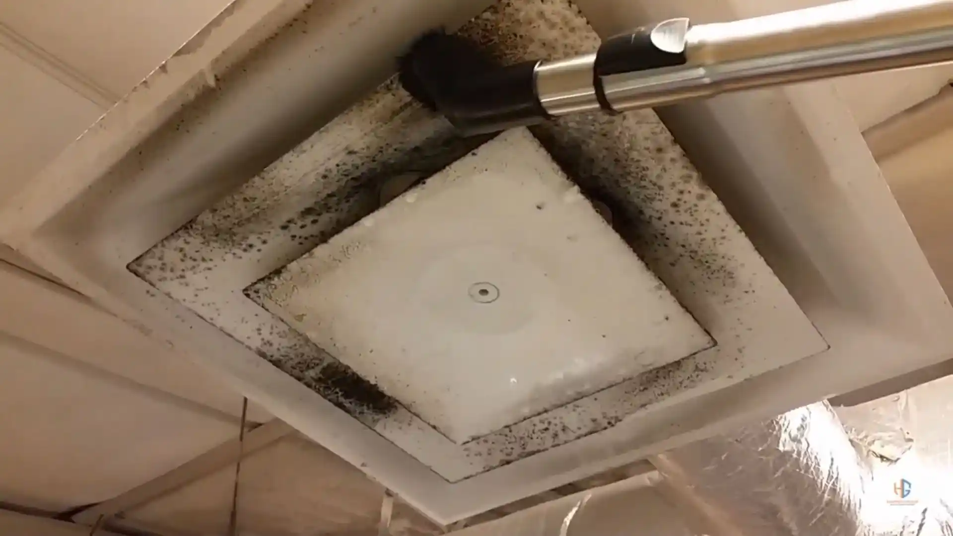 Bathroom mold removal near shower and ventilation fan in Montgomery Village, MD